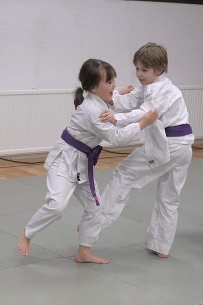 © ©Ki-Shin-Tai Dojo