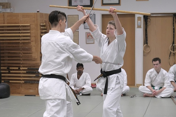 © ©Ki-Shin-Tai Dojo