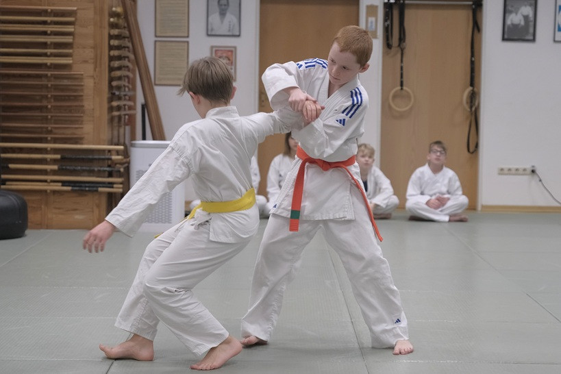 © ©Ki-Shin-Tai Dojo