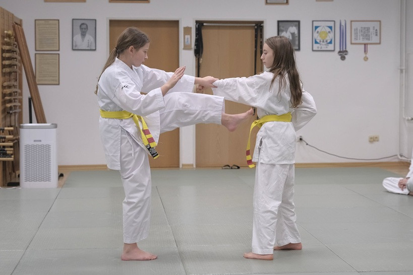 © ©Ki-Shin-Tai Dojo
