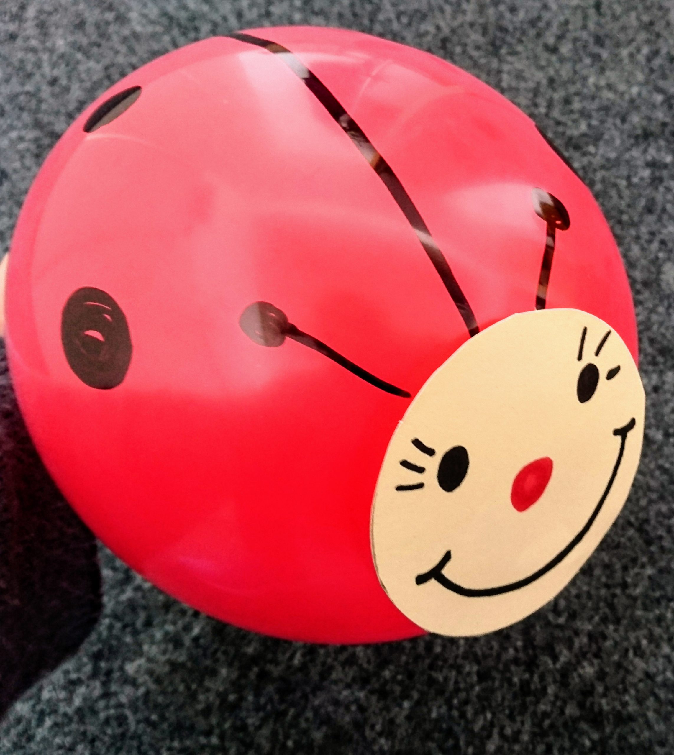 Luftballon Marienkafer Titelblatt der Broschüre
