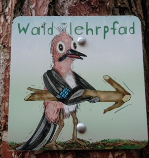 Waldlehrpfad Titelblatt der Broschüre